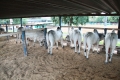 image0053_(2)