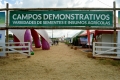femec2017-dia23-03 (28)