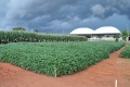 Campo_Experimenta_(13)