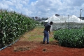Campo_Experimenta_(21)
