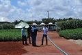 Campo_Experimenta_(22)