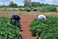 Campo_Experimenta_(27)