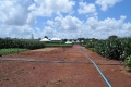 Campo_Experimenta_(28)