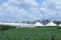 Campo_Experimenta_(32)