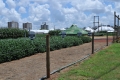 Campo_Experimenta_(34)