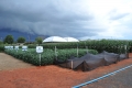 Campo_Experimenta_(4)