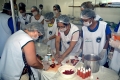 Curso_de_Conservação_de_vegetais_Emater_(6)