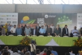 Abertura-118